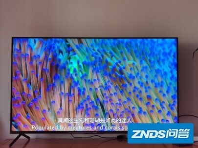 图文测评荣耀智慧屏x1和pro哪个好？说说使用区别