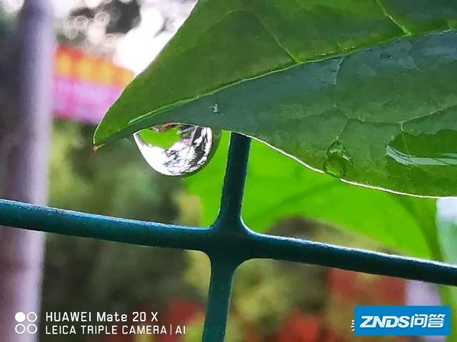能否推荐一款大屏手机？