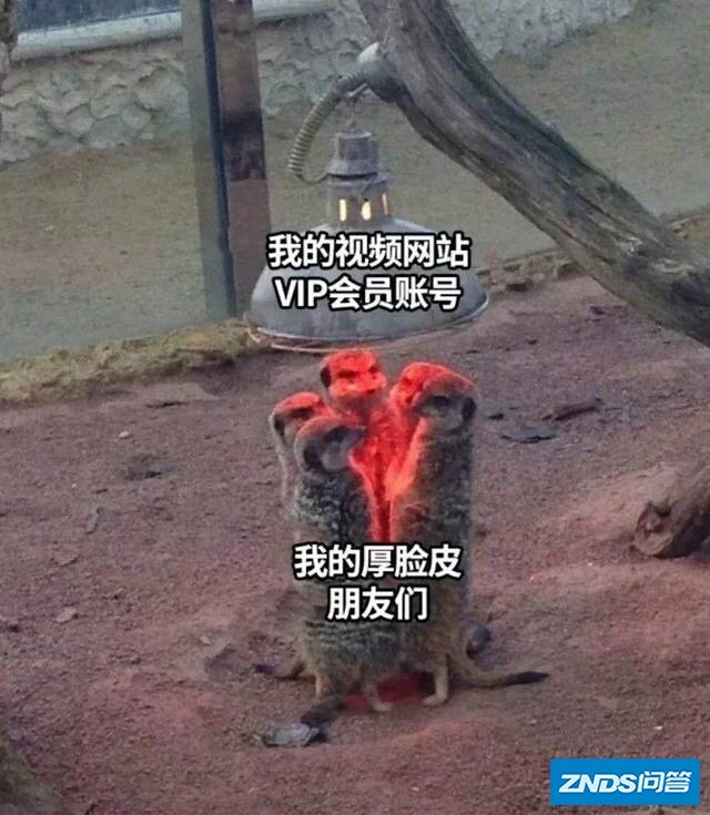 我有爱奇艺视频TV版账号，分享给朋友了，他们每次拿我的用，我想登录的时候挤不掉他们如何办？
