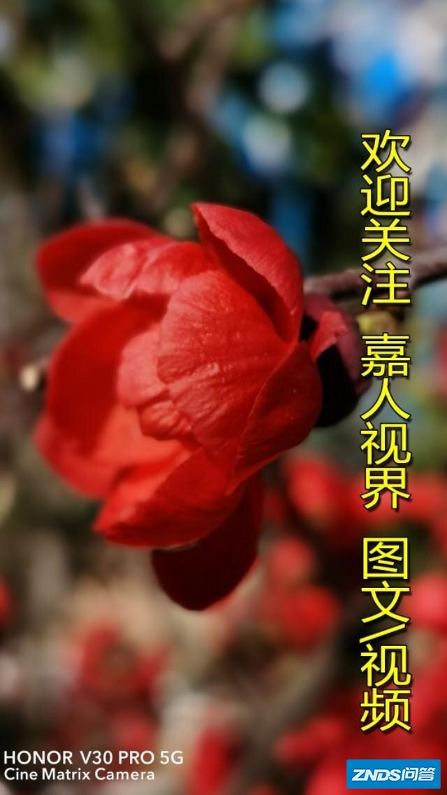 1080P50帧100M和4K25帧100M哪个清晰？为何？