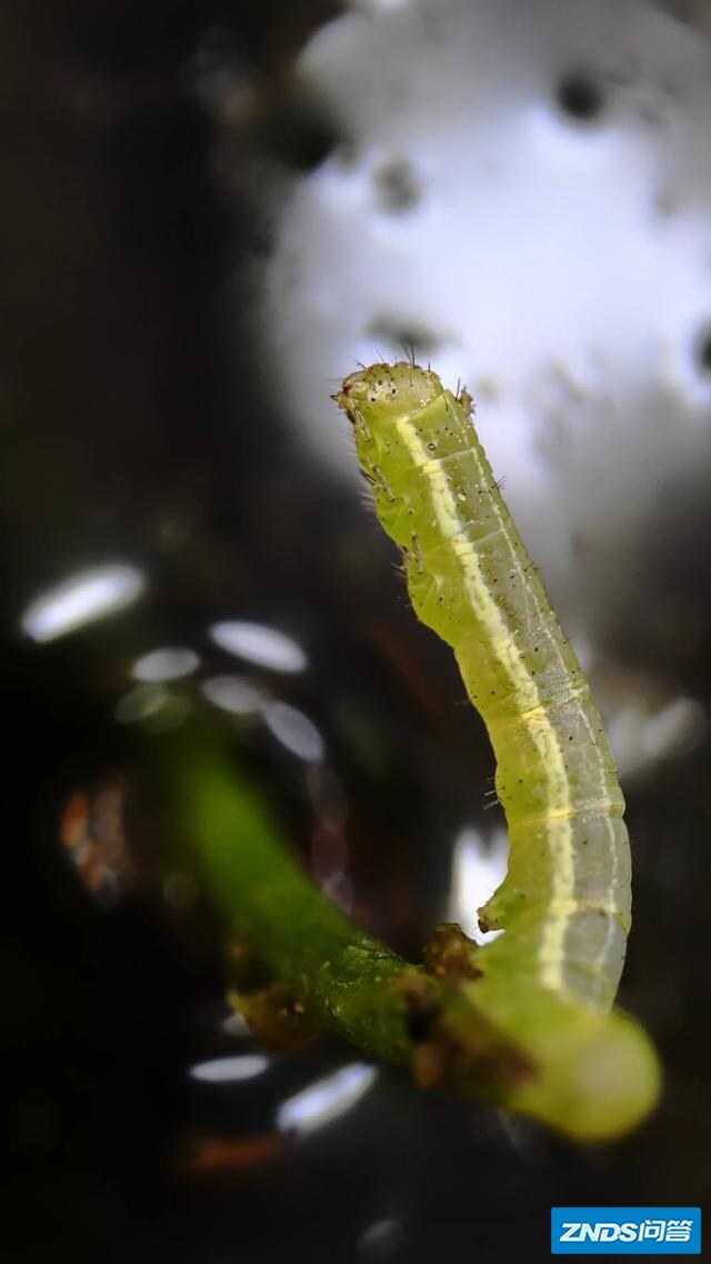 M4/3的奥林巴斯，和全画幅索尼微单如何选？