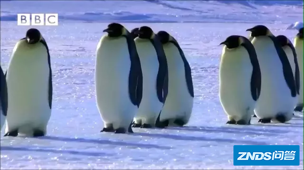 BBC有哪些好看的纪录片?
