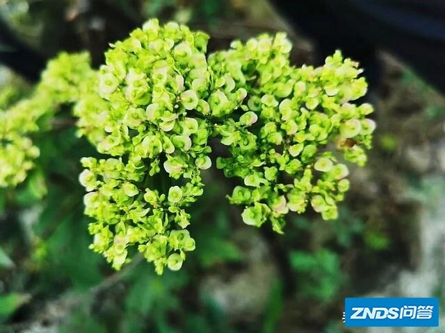 你手机中最常用的APP是哪三个？你觉得好用吗？