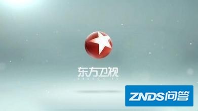 上海东方卫视官网是指什么