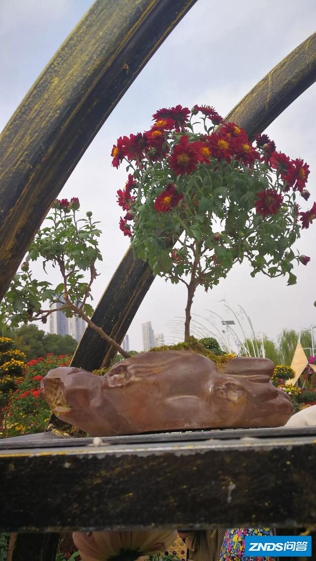 目前大家都不看浙江卫视（中国好声音）了吗？