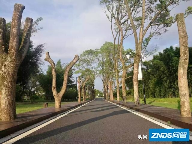 学校大部分都用家用投影讲课，为啥会导致许多同学犯困？