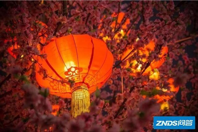 突然想看今年的跨年晚会，哪个台的好看呢？