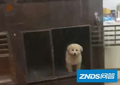 有哪些让你每次都狂笑不止的视频？
