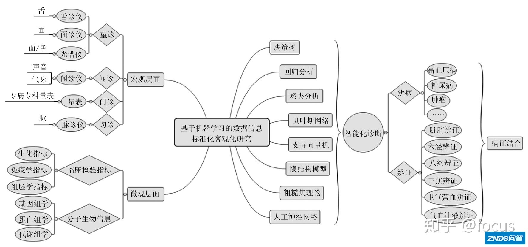 石玉琳，胡晓娟，许家佗. 中医病证智能化诊断与分类研究进展 ...