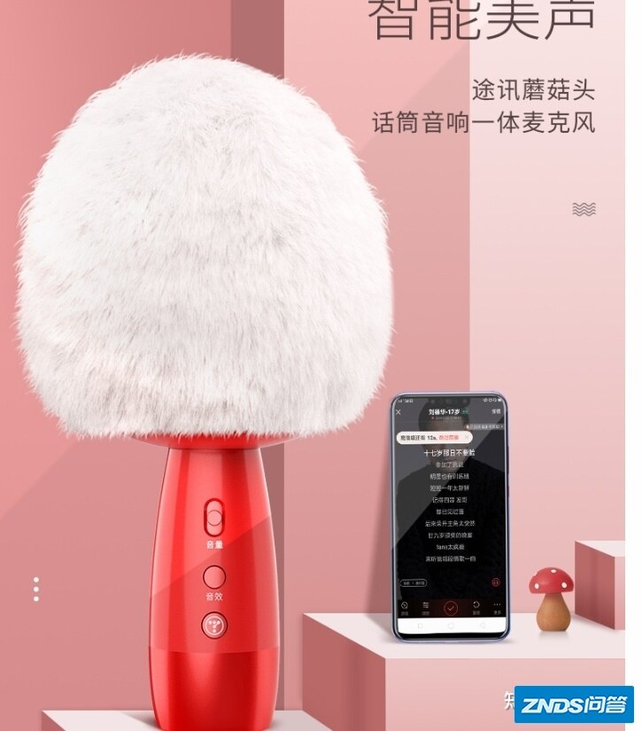 想在家唱唱歌，自娱自乐那种，装什么设备比较合适？