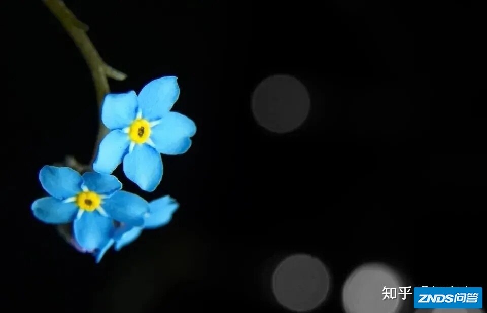 瑞格尔家用投影机抽检不合格,头部企业如何规范市场乱象