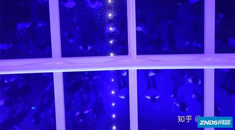 1000名同志和父母在海上的5天4夜