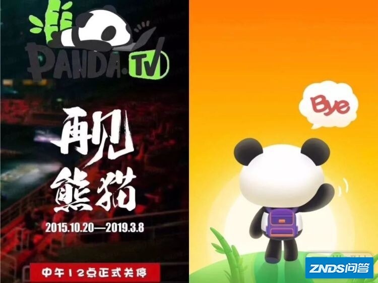 如何看待熊猫直播平台破产？
