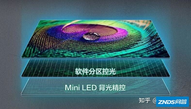 MiniLED和OLED哪个好用？