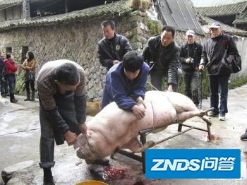 你看电视机剧流过眼泪吗？是哪一部？