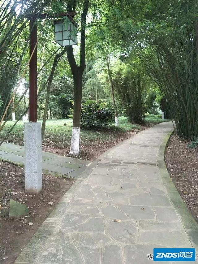 一台人突然对生活的一切都麻木了，不管出了什么事都不在意，这是如何回事？