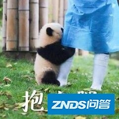 惟愿一屋两人三餐四季——我们的家装历程