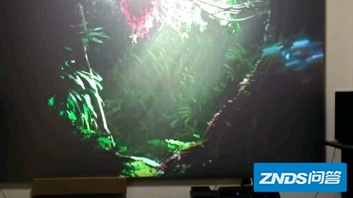 2.5米家用投影100寸，观感如何样？