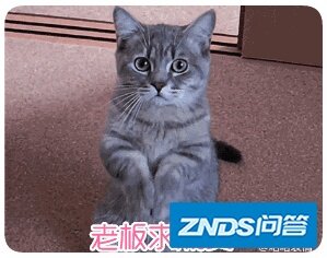 荣耀智慧屏x1和x2哪个型号好，荣耀智慧屏和华为智慧屏的 ...