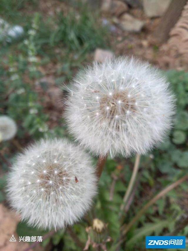 露天影片还有人看吗？现代人看露天影片会有什么样的体验？