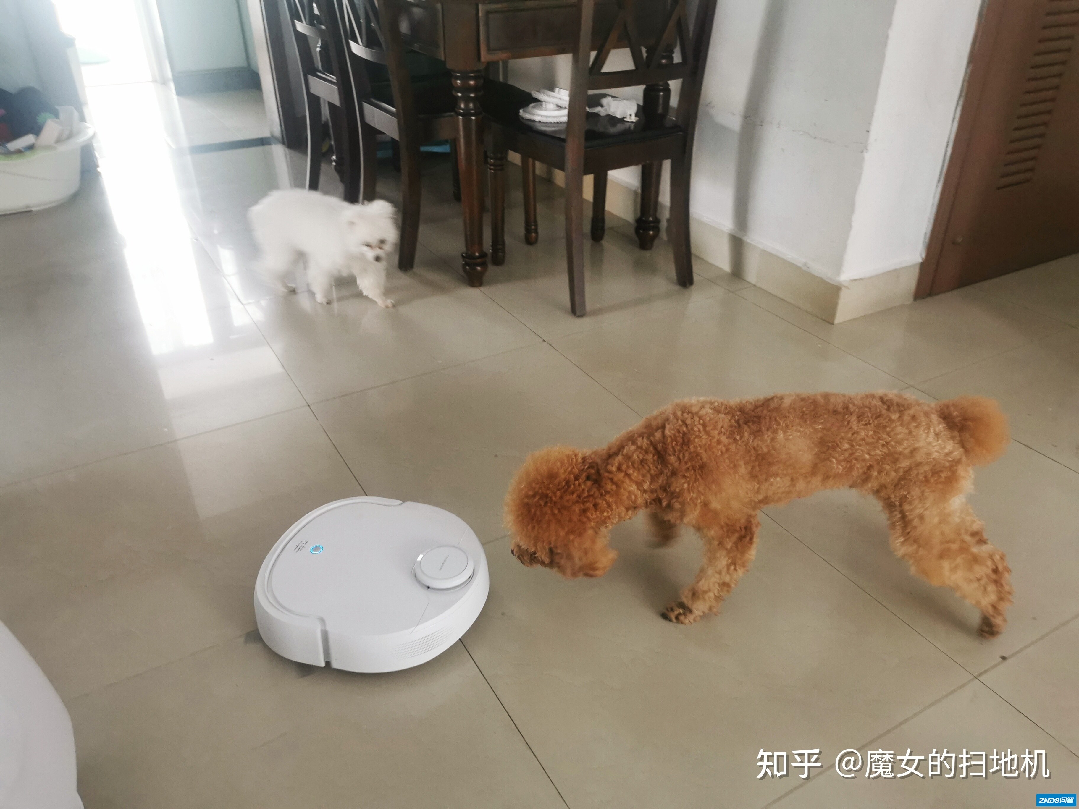 云鲸J2如何样?这一次连水都不用倒了