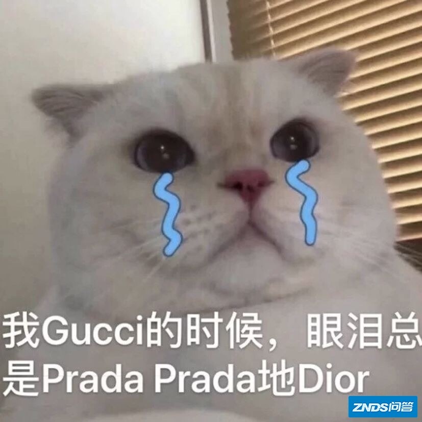 如何评价 adidasxGucci 联名系列雨伞售价一万元却不防水 ...