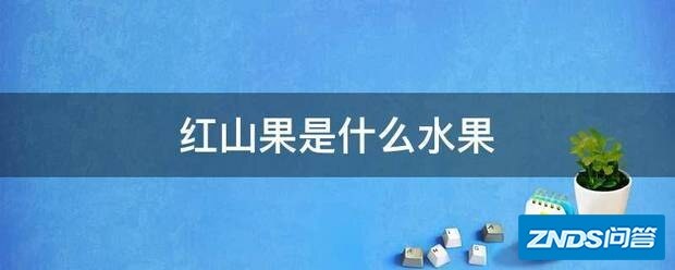 红山果是指什么水果