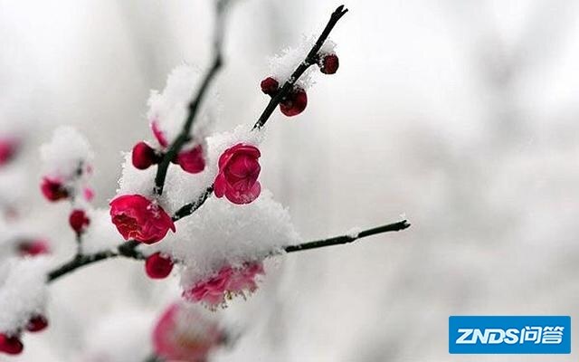 描写雪的美文或诗词中，最触动你的是哪一句？