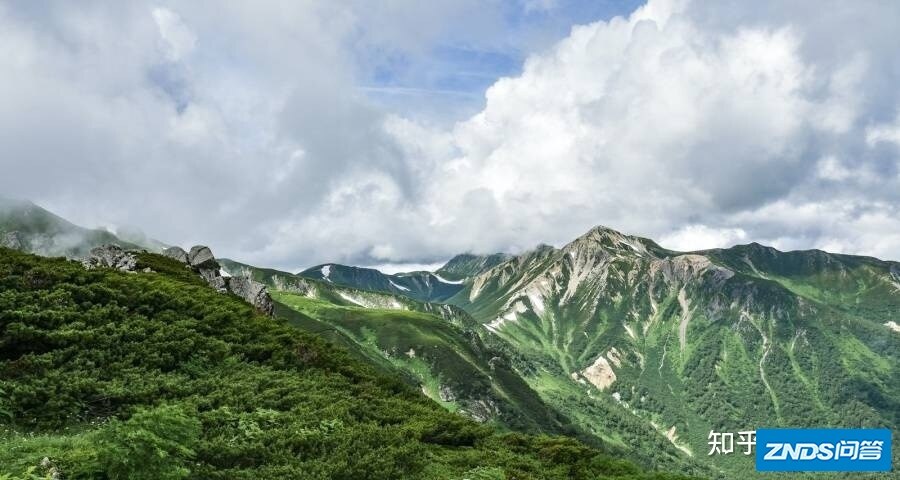 家电业上演日立进东芝退，美的海信三翼鸟TCL京东苏宁发力 ...