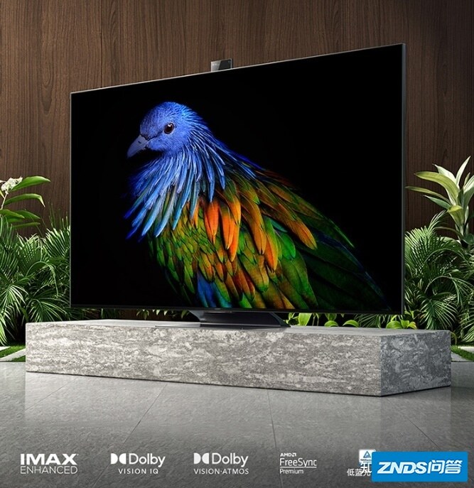 小米65寸电视机哪一款性价比高？