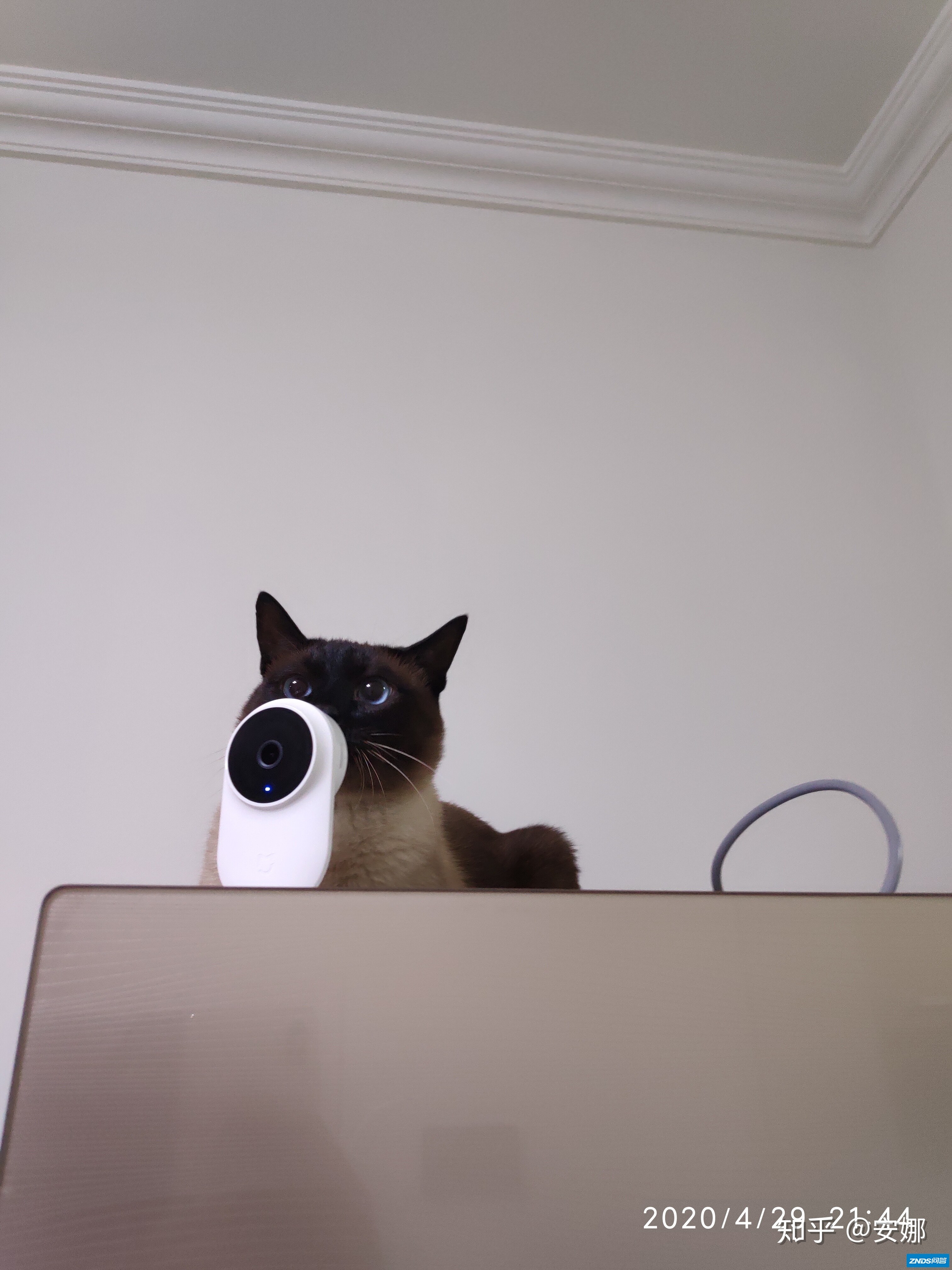 家用监控（猫）摄像头什么牌子好？
