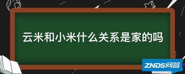云米和小米什么关系是家的吗