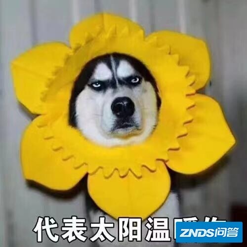 如何看新上市的荣耀智慧屏 S系列，我来聊聊不一样的