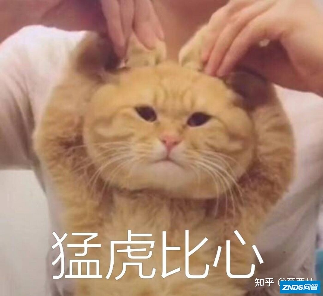 2022年2月家用投影仪推荐优惠高性价比值得买 （当贝 | 坚果 | 极 ...