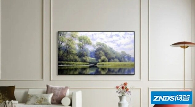 什么是 OLED evo 面板？