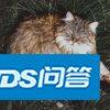 巫师（猎魔人）系列从原著小说到游戏的完整情节是怎样的 ...