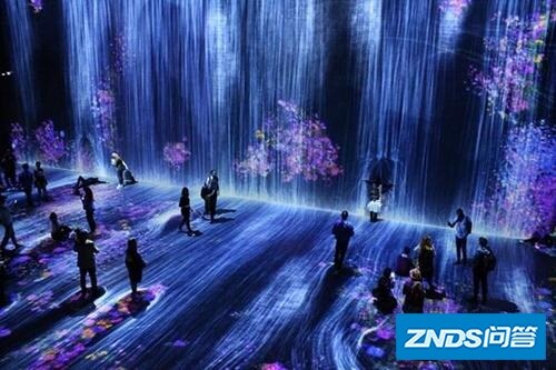 一整套投影设备都包括什么东西?大概需要多少钱?