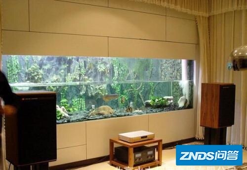 鱼缸换水放多少盐？正确方法是指什么？