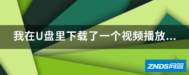 我在U盘里下载了一台视频播放器软件,如何才能在电视机上使用...