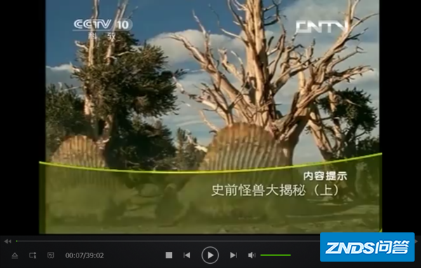 求一部关于古生物进化的纪录片