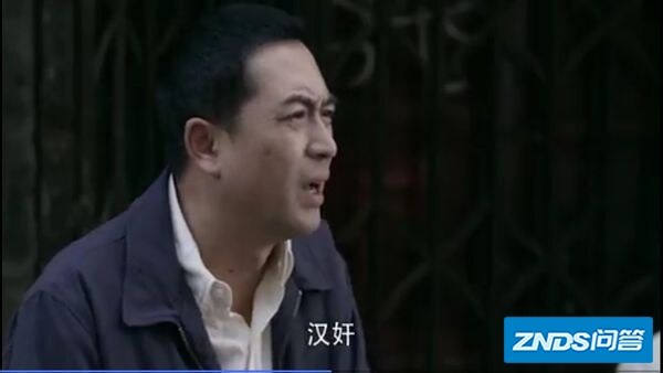 张嘉译拍了一部电视机剧问别人是汉奸的叫什么名字