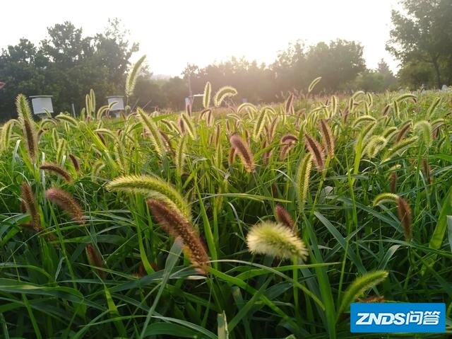 你家电视机机多久没开了？