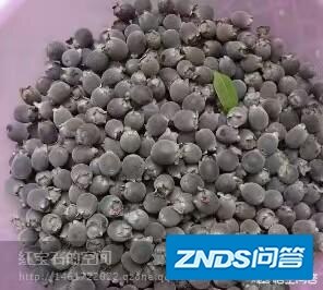 为啥感觉目前玩直播的越来越多了？