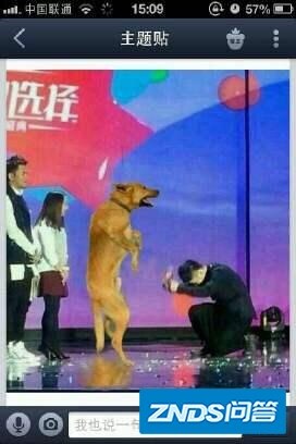 是不是越来越多的人讨厌芒果台了？