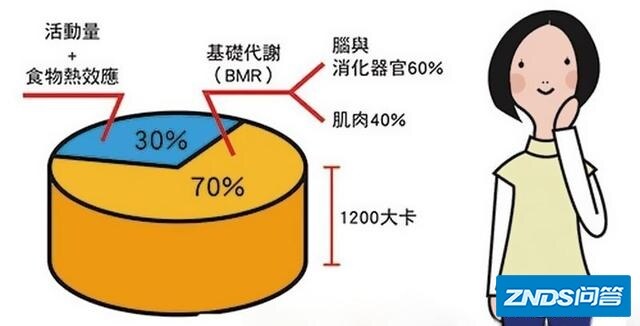 哪位大神可以告诉我，为啥我练了十四天的keep还有美丽芭蕾的天鹅臂，体重却没有下降吗？