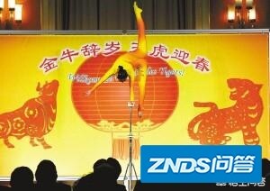 今年过年期间你都会看哪个卫视的春晚？