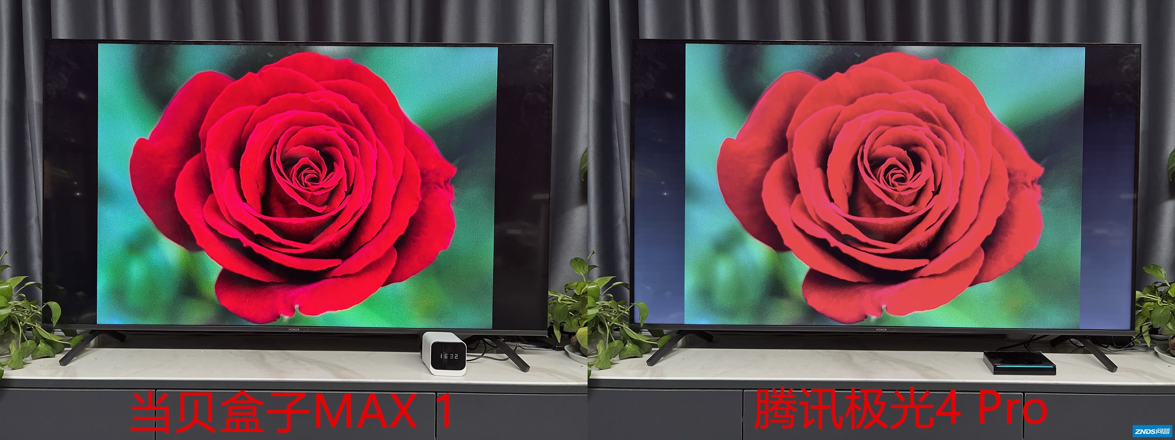 IMG_2499.HEIC_副本_副本.jpg