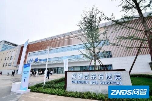 为啥京东方利润那么高，但股票价格一直下跌呢？