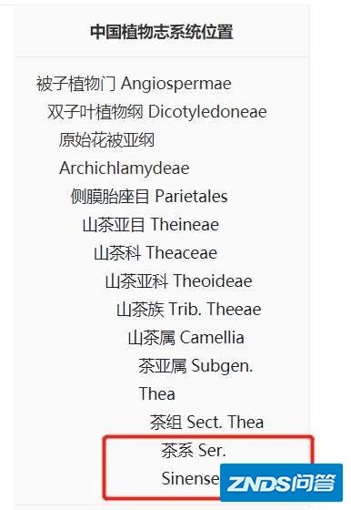 如何用英语优雅地翻译「铁观音」「龙井」「普洱茶」呢？还有哪些看着很难，但是很有趣的汉译英？