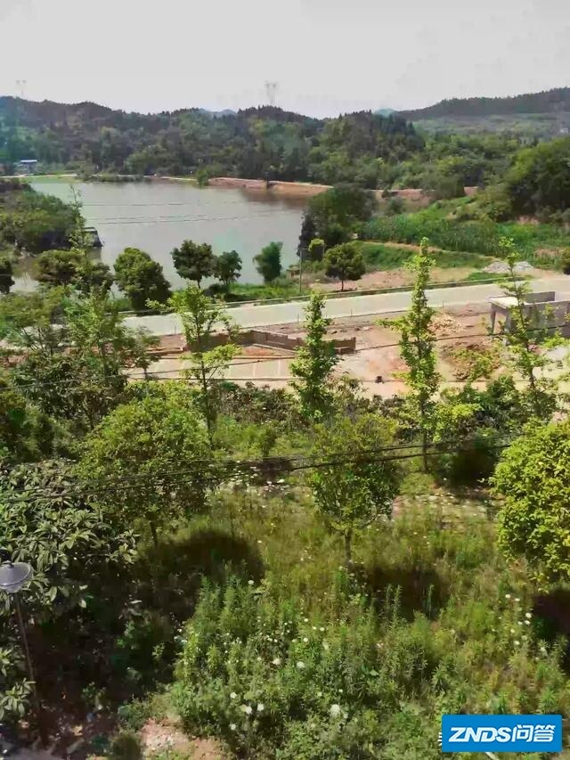 迪佳大物师与佳钓尼伏魔这两款鱼竿哪款更好？